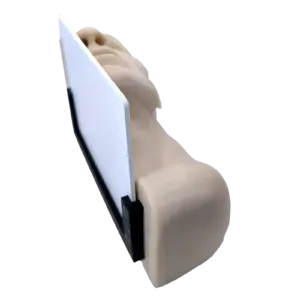 Beige plastic hand model gripping a white rectangular panel.