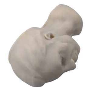 White plaster bust of a male head rotated to the side, with visible ear and neck details.